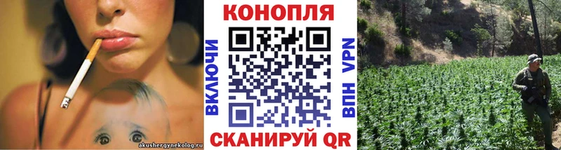 МЕФ Черепаново