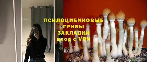 прущая мука Куйбышев